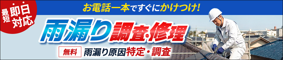 雨漏り調査・修理